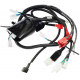 Electrical installation Pentora