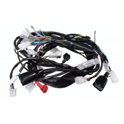 Electrical installation for Fighter 1 moped