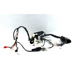 Electrical installation for moped FR 2 E5 Electrical installation for moped FR 2 E5