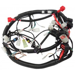Electrical installation Classic 125 (Euro 5)