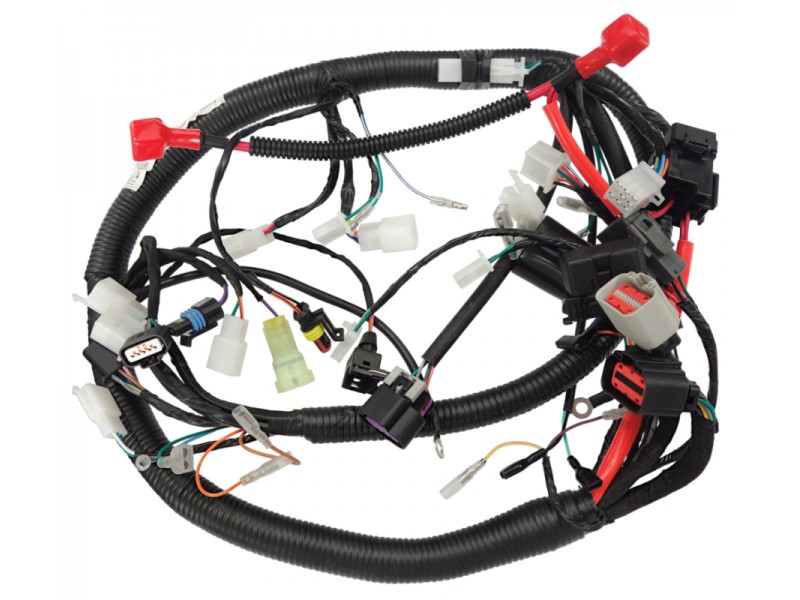 Electrical installation Classic 125 (Euro 5) Electrical installation Classic 125 (Euro 5)