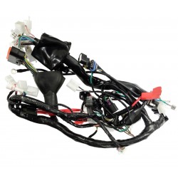 Electrical installation for Fighter 2 / Euro 5 moped