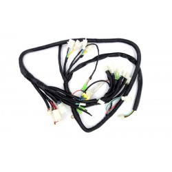 Electric installation of power supply 21 euro4 Electric installation of power supply 21 euro4
