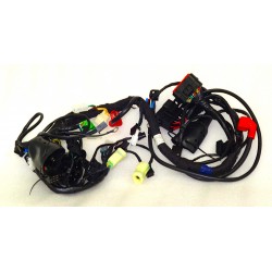 Electrical installation 5+ VOGE 125R Euro