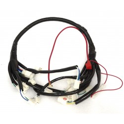 Main cable (electrical installation) Coral 125 E5+
