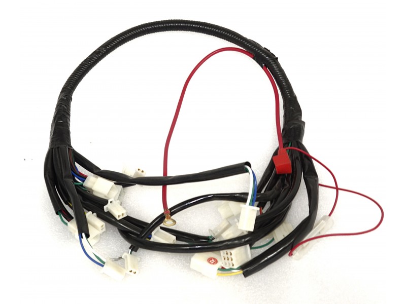 Main cable (electrical installation) Coral 125 E5+