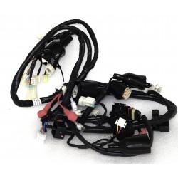 Electrical installation Coral 50