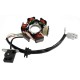 Ignition stator (magneto) with magnet for ATV 110