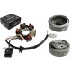 Ignition stator (magneto) with magnet for ATV 110