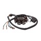 Ignition stator (magneto) for ATV 200