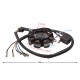 Ignition stator (magneto) for ATV 200