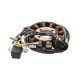 Ignition stator (magneto) for ATV 250cc 4T (12 coils)