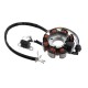 Ignition stator (magneto) for ATV Bashan 200/250