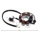 Ignition stator (magneto) for ATV Bashan 200/250