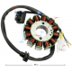 Ignition stator (magneto) Naked 50