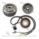 Igntion stator with magneto Hyper 125 E5