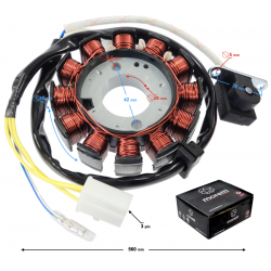 Ignition stator (magneto) for 50cc, E4 scooter (12 coils)