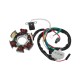 Ignition stator (magneto) Honda Dio 50