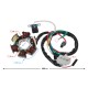 Ignition stator (magneto) Honda Dio 50