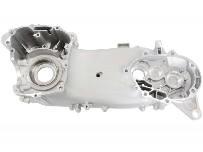 Left engine crankcase X-trail 125