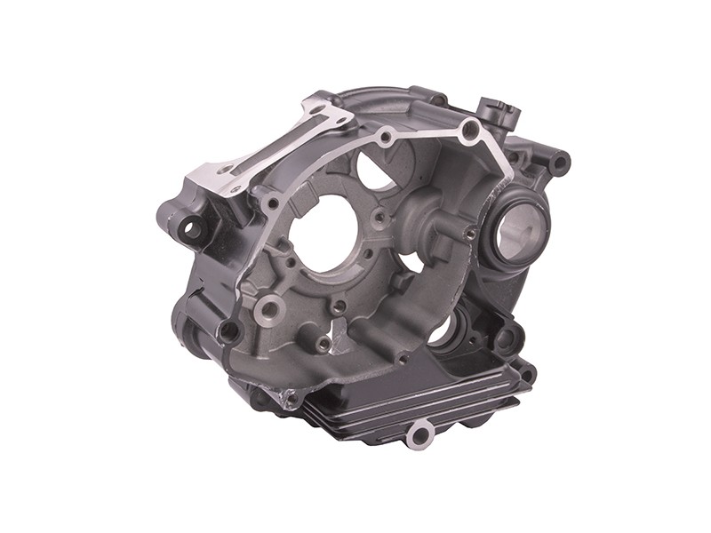 left Engine crankcase for Travel 125 motorcycle