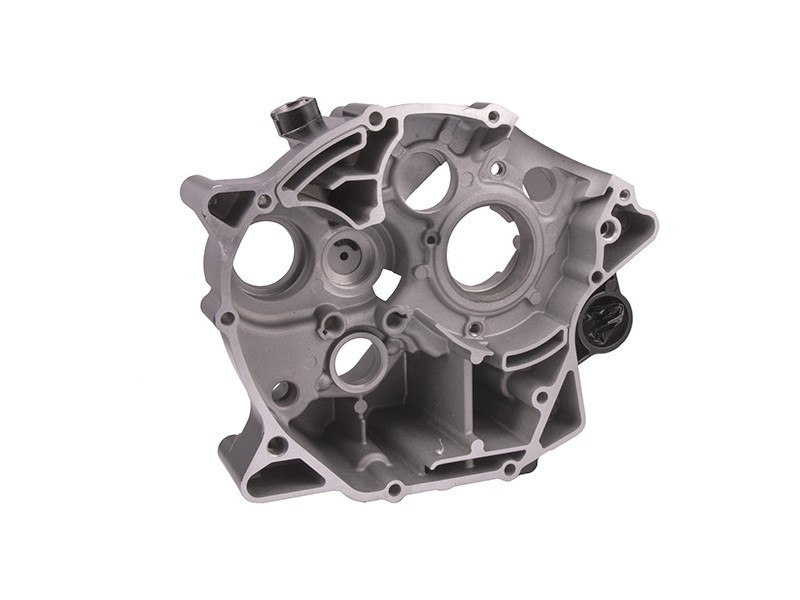 left Engine crankcase for Travel 125 motorcycle