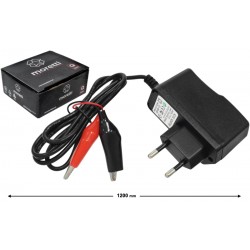 Digital battery charger (voltage 12V, amperage 1.0A)