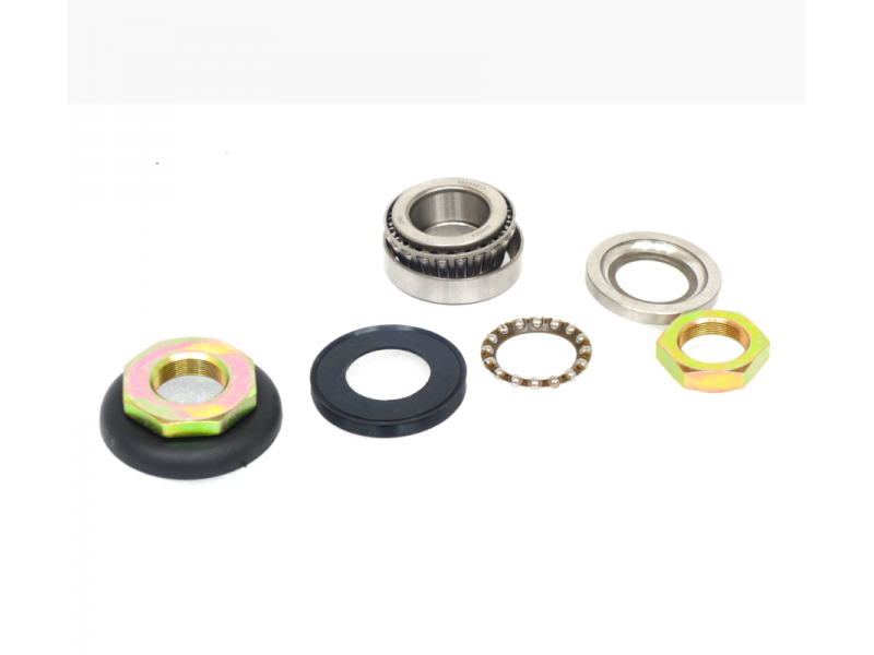 Steering head bearings complete X-trail 125