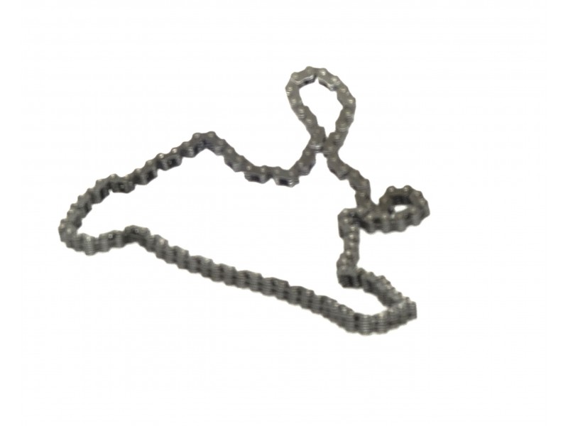NXT250 Timing Chain