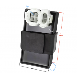 NXT250 Ignition Module