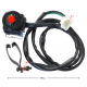 Ignition switch NXT250 L