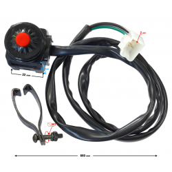 Ignition switch NXT250 L