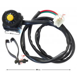 Ignition switch NXT250 L