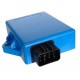 ignition module YP250