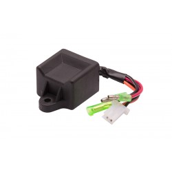 Ignition module for scooter scooter