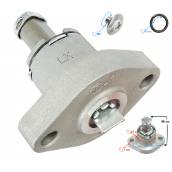 Timing tensioner Discover 200