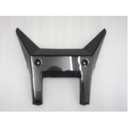 Headlight housing ATV Raze 200