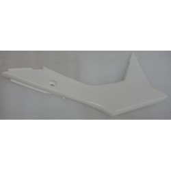 Lower Front Left Case NXT250 2021