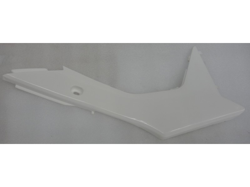 Lower Front Left Case NXT250 2021