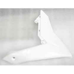Upper Left Front Left Case NXT250 2021