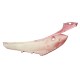 Rear right cover, red Scalpel 50