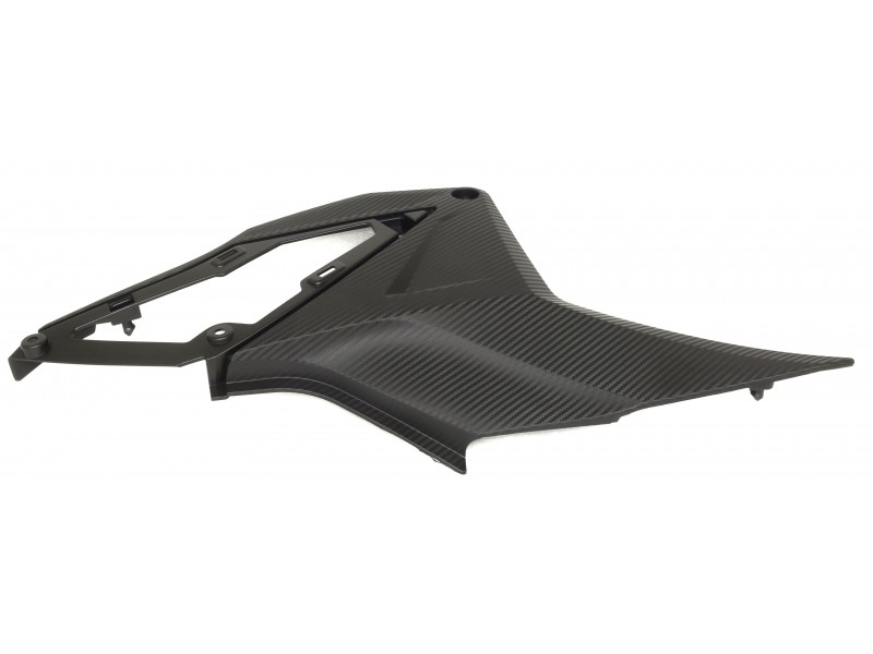 Left side cover Rally 125
