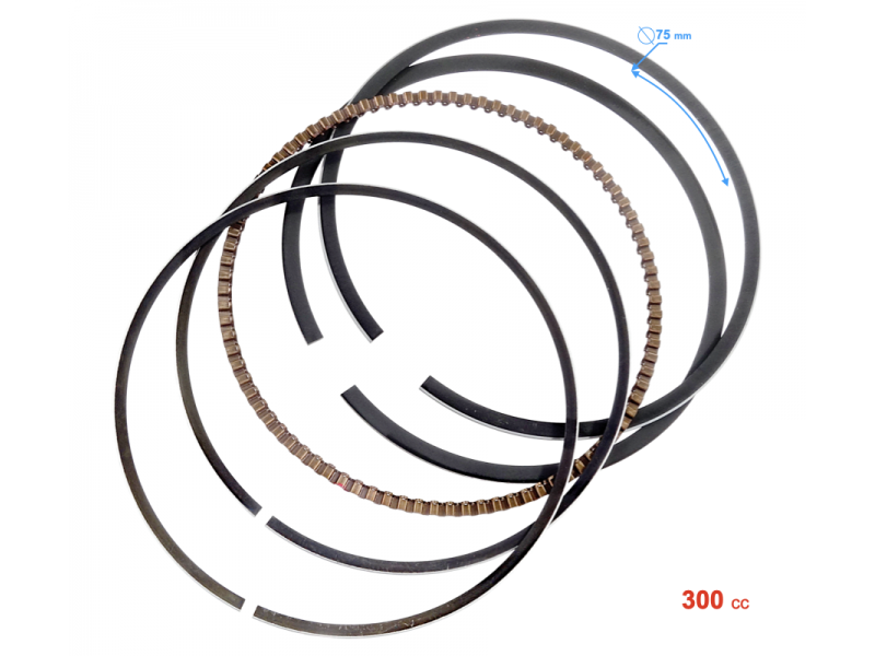 O-ring rings VOGE
