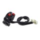 Combined switches, right for Bashan quad
