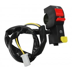 Combined switches , right for Bashan 200 quad