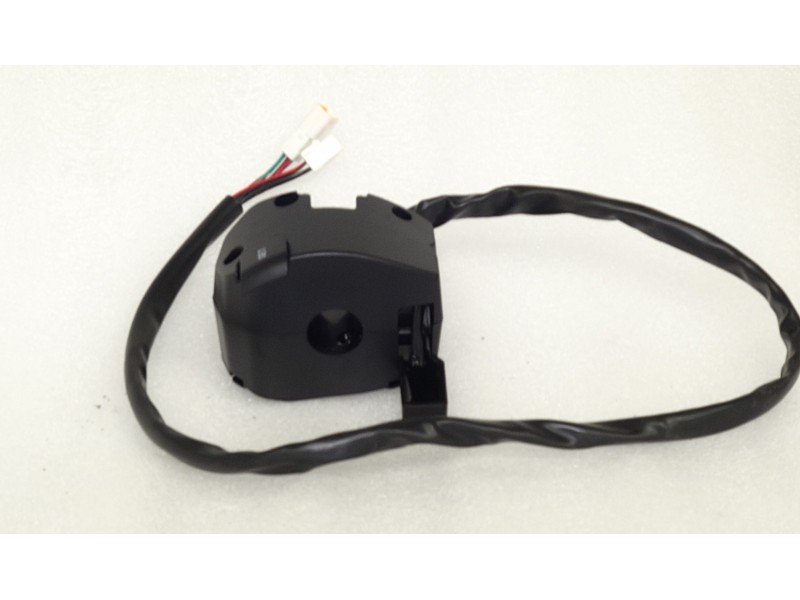 Right Switch Assy HISUN Guardian 750