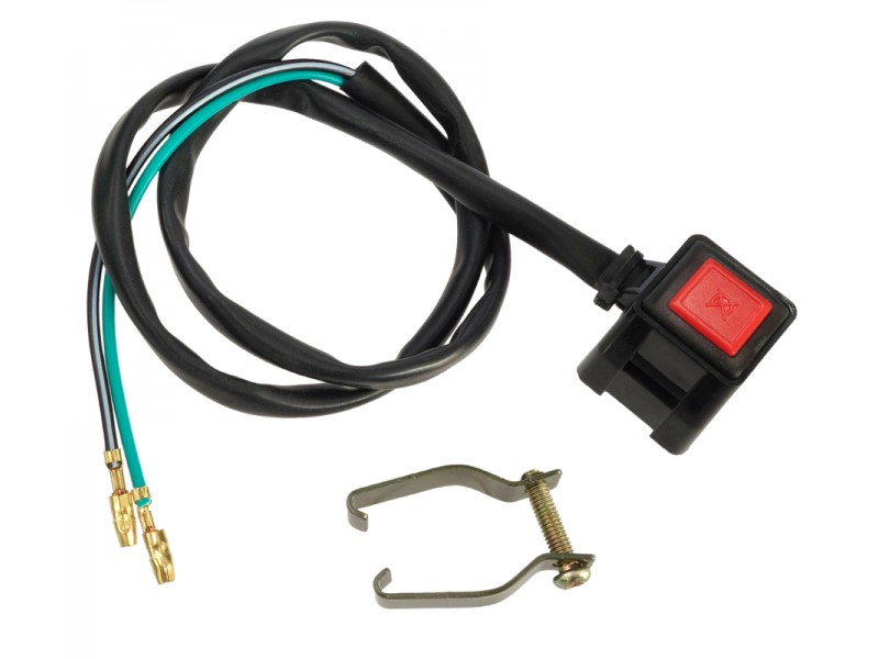 Extinguishing switch DB250MZK Extinguishing switch DB250MZK