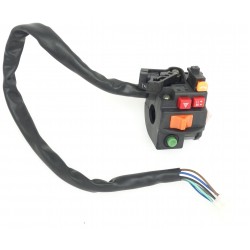 Combination switch Discover 200