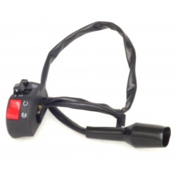 Right combination switch Rally 125