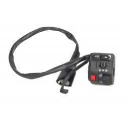 Left combination switch Rally 125